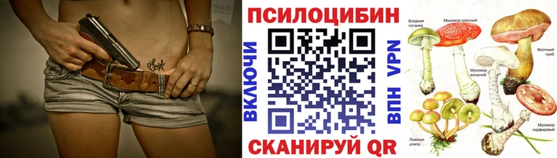 закладка  ссылка на мегу ONION  Псилоцибиновые грибы прущие грибы  Холм 